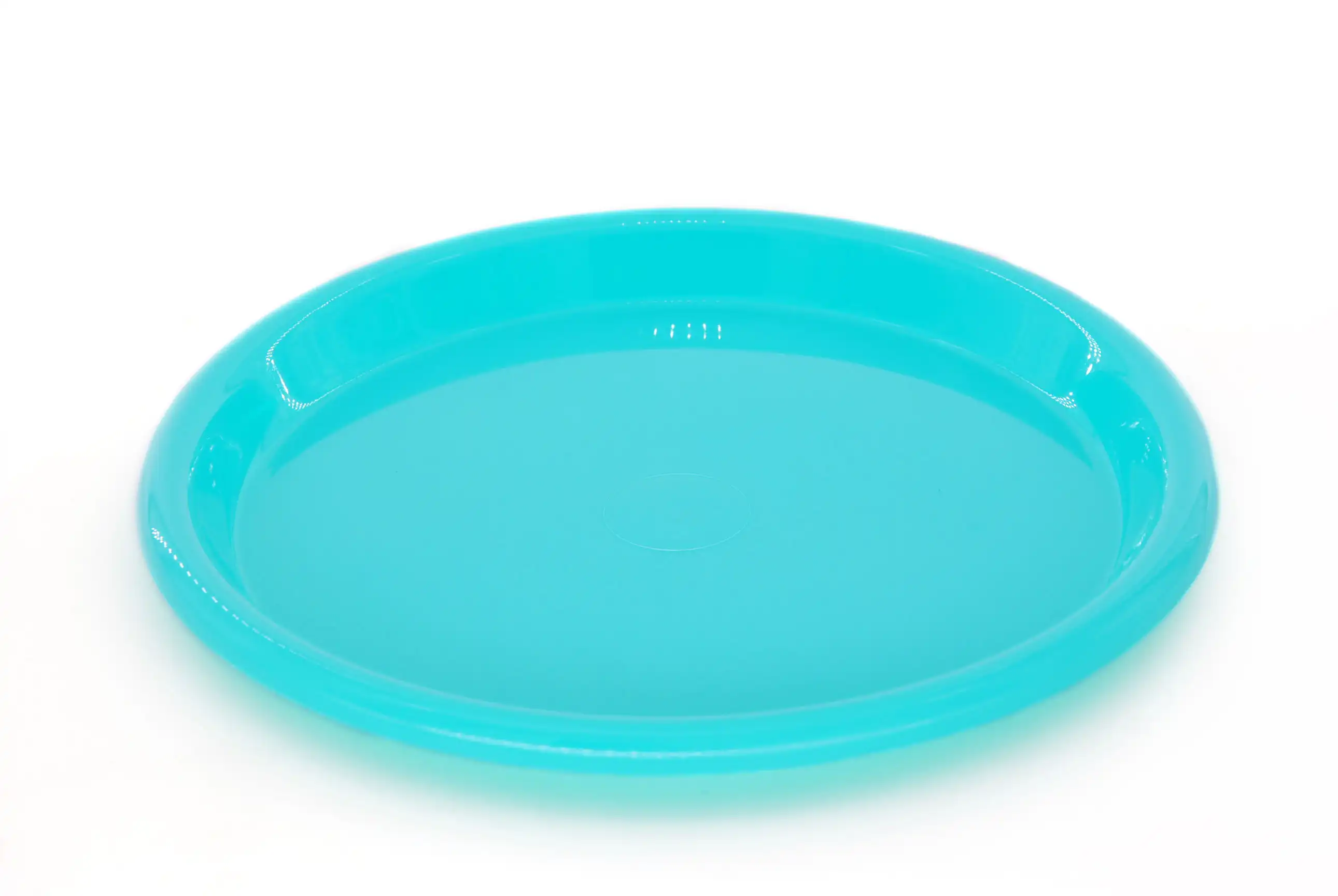Large Party Plate (pack of 6) - Image 8