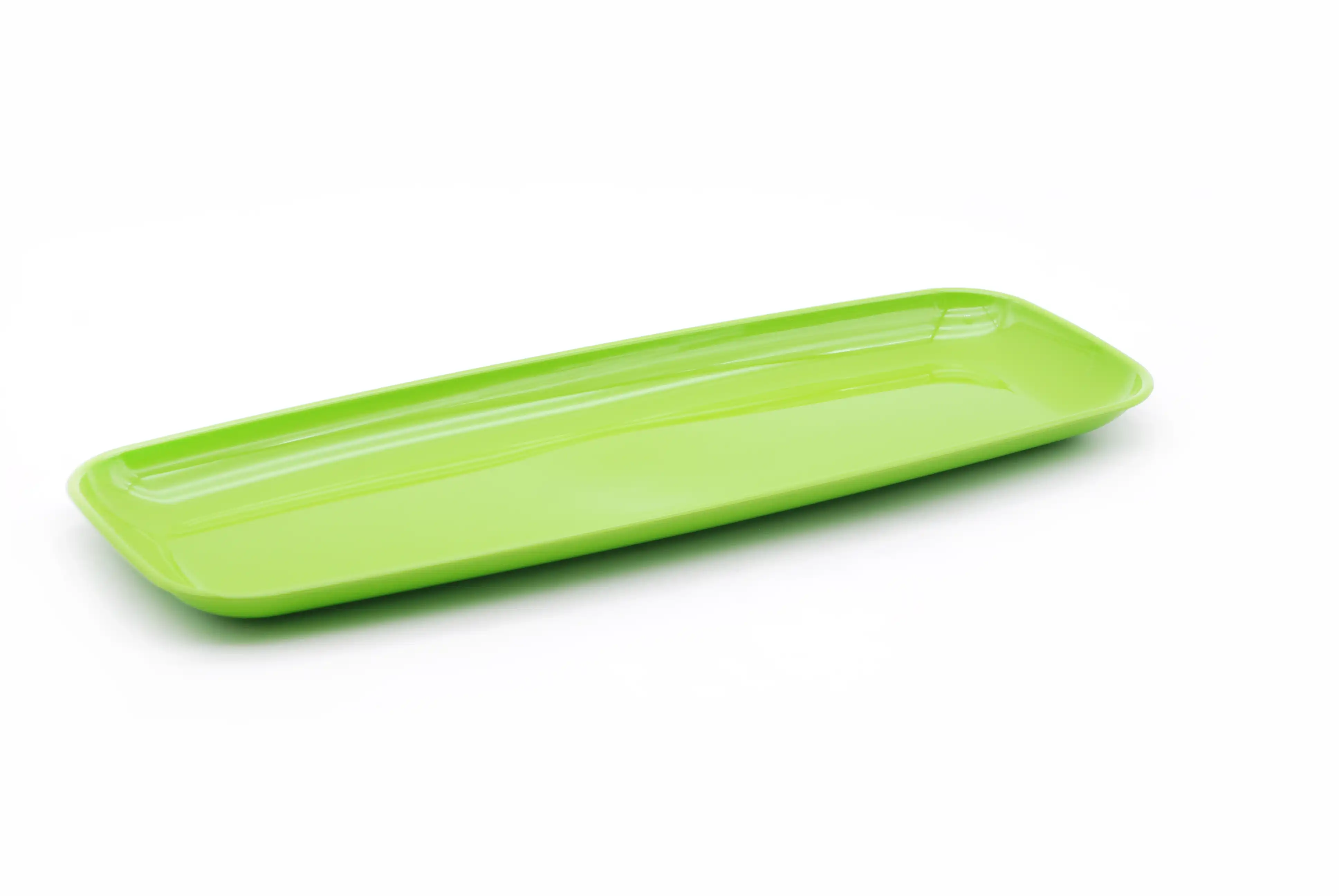 Long Rectangular Serving Plate - Image 3