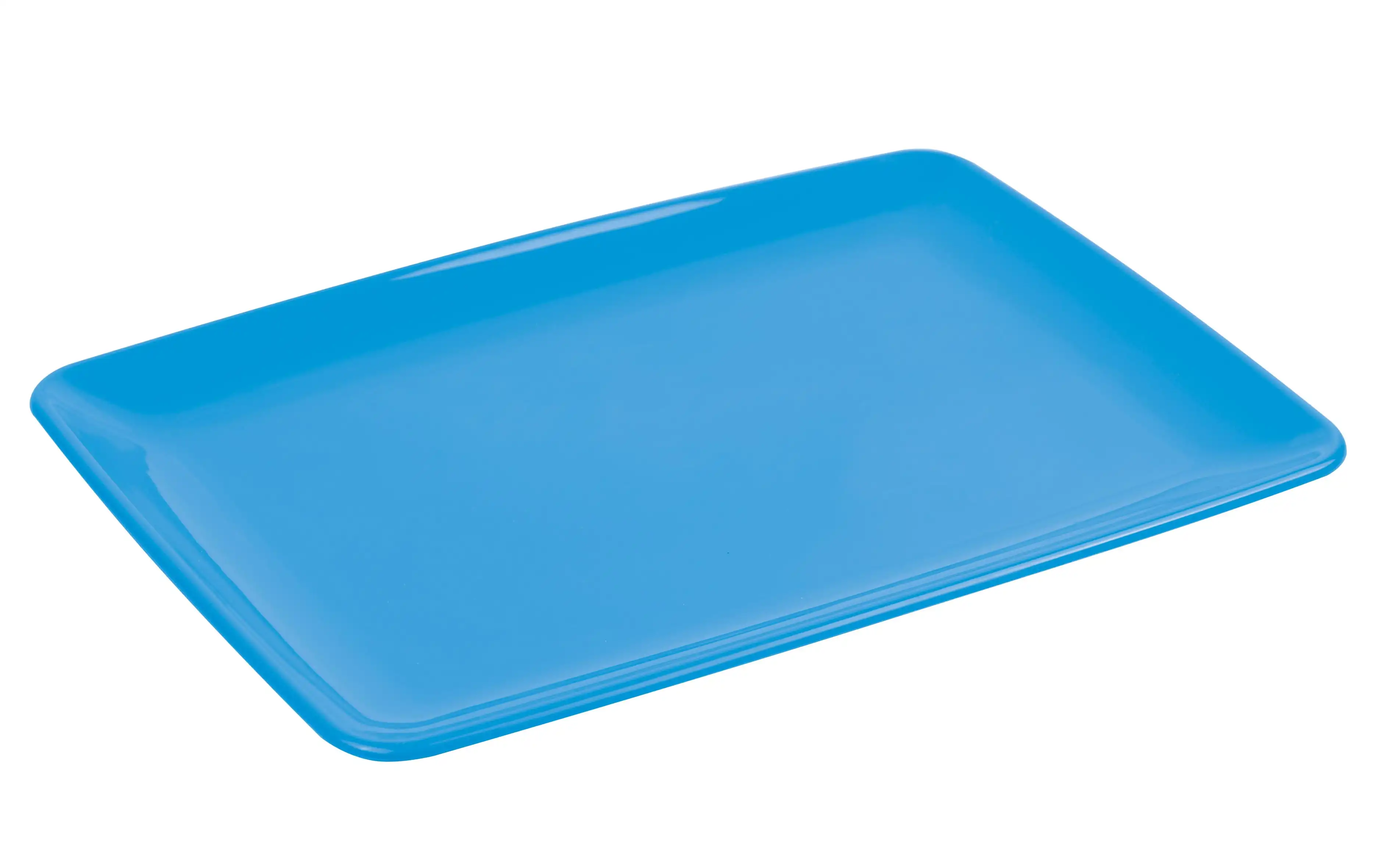 Rectangular Serving Plate (pack of 2) - Image 3