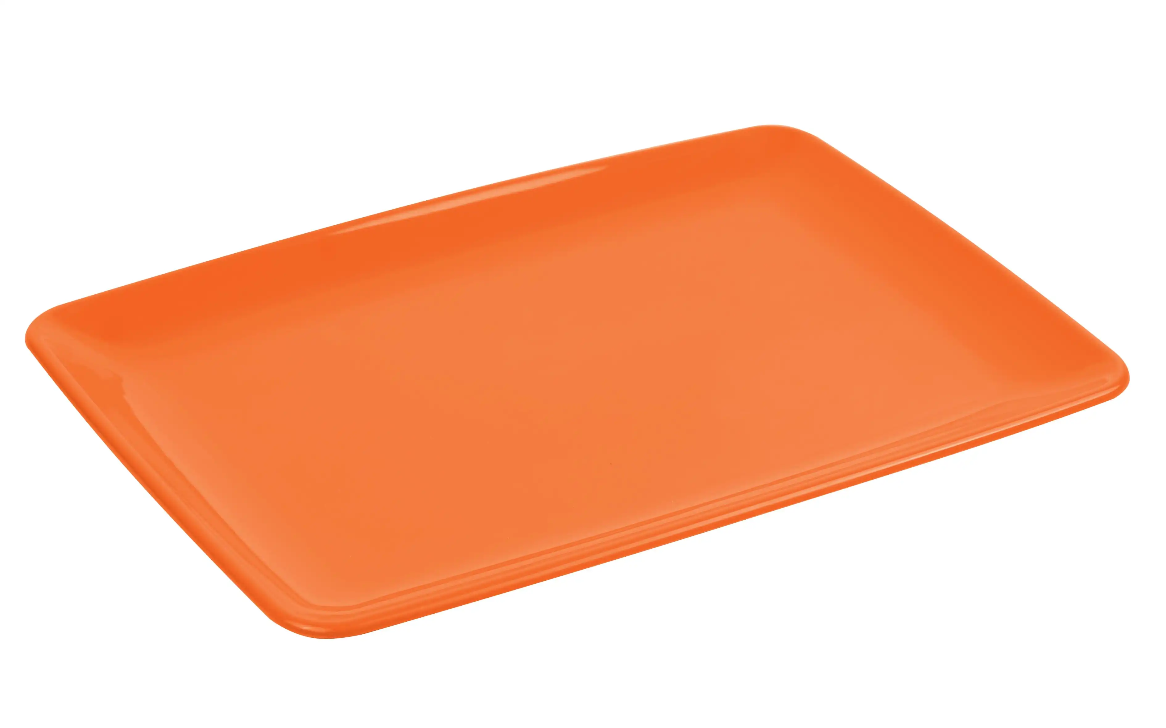 Rectangular Serving Plate (pack of 2) - Image 5