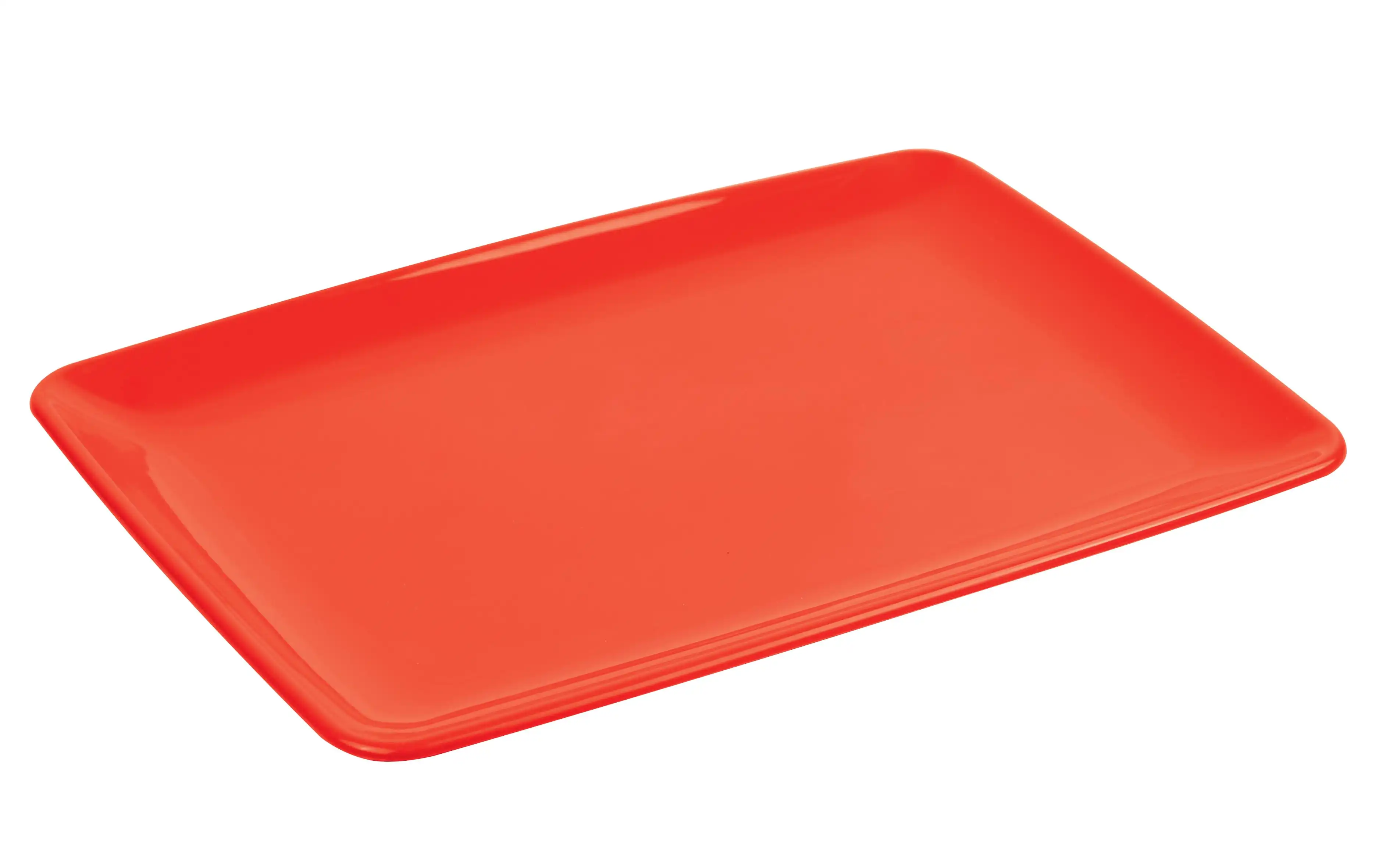 Rectangular Serving Plate (pack of 2) - Image 6