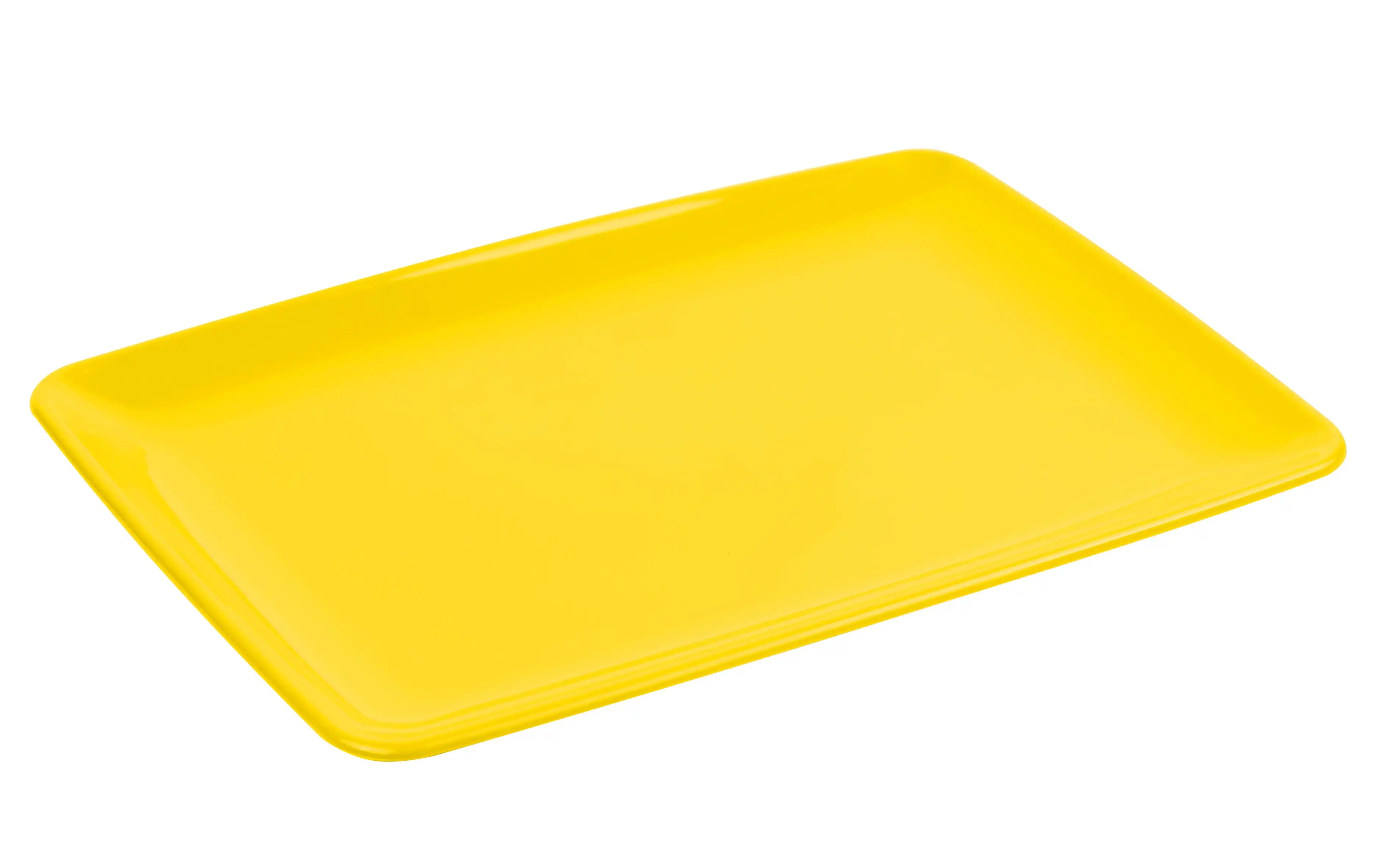 Rectangular Serving Plate (pack of 2) - Image 8